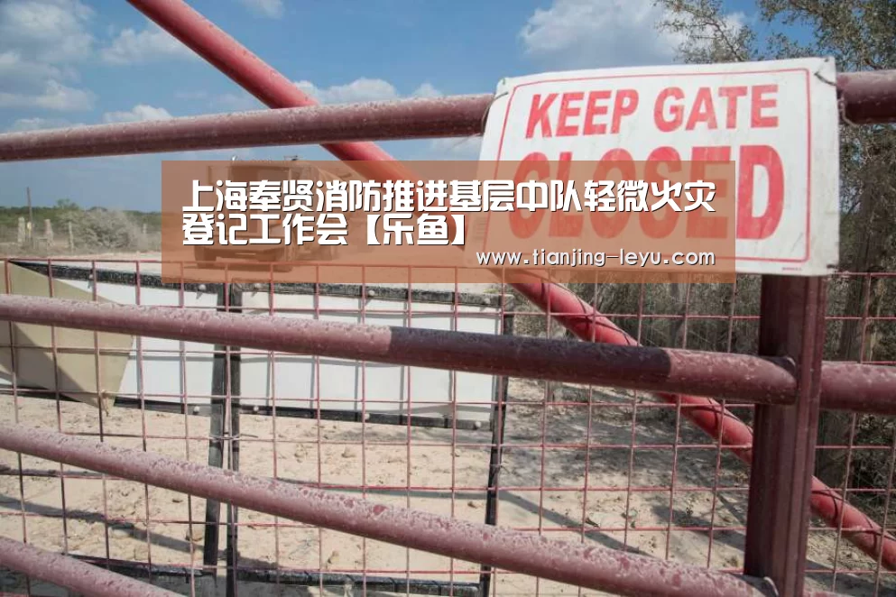 上海奉贤消防推进基层中队轻微火灾登记工作会【乐鱼】(图1) 乐鱼体育