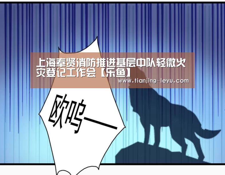 上海奉贤消防推进基层中队轻微火灾登记工作会【乐鱼】(图3) 乐鱼体育